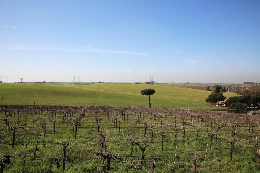 Feriegårder Grappoli Di Sole *
