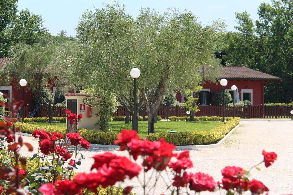 Centro Benigni