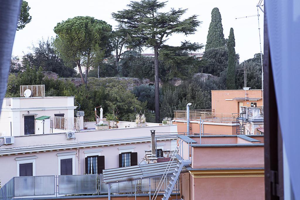 Luxury Domus Amadeus * Roma
