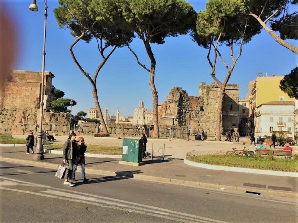 Colosseum By Serena Roma