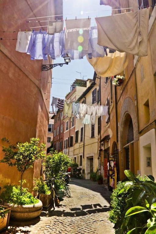 Cedro 28 Rome