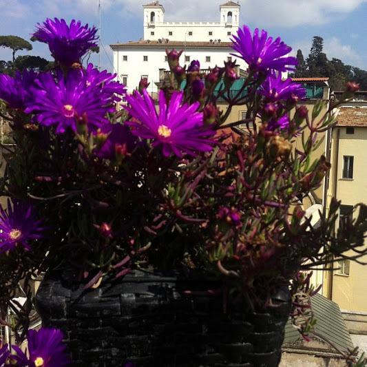 Domus Valeria Affittacamere 5*