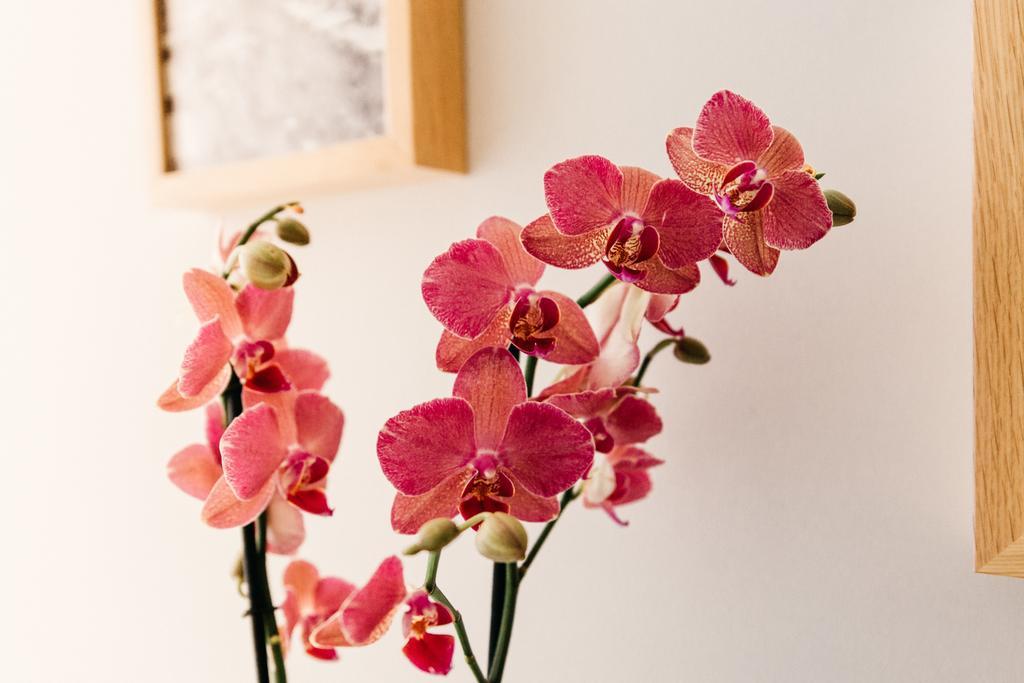 Bed & Breakfast Adriano Augusto 5*