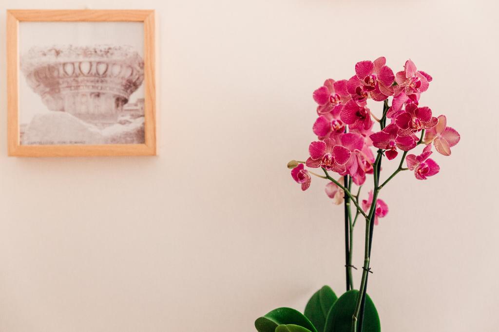 Adriano Augusto Bed & Breakfast 5*