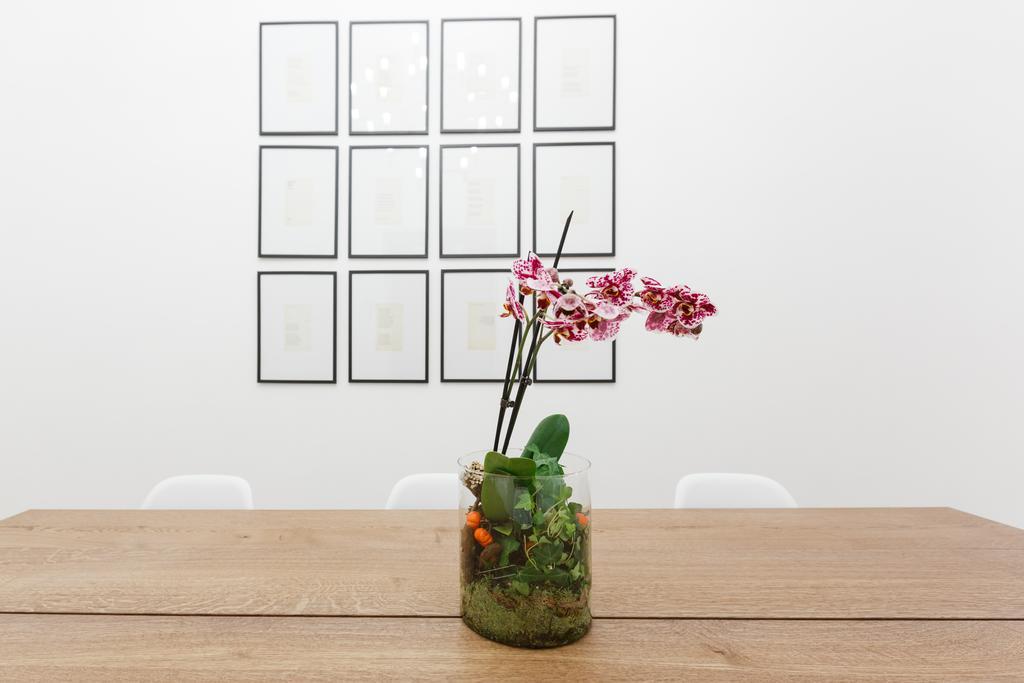 Modern Comfort, Poetic Charm Appartamento Roma