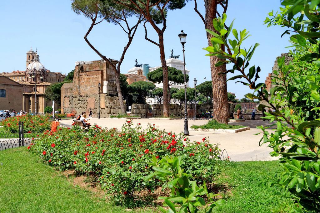 Design Paulina 300 Mt From Colosseum Appartamento