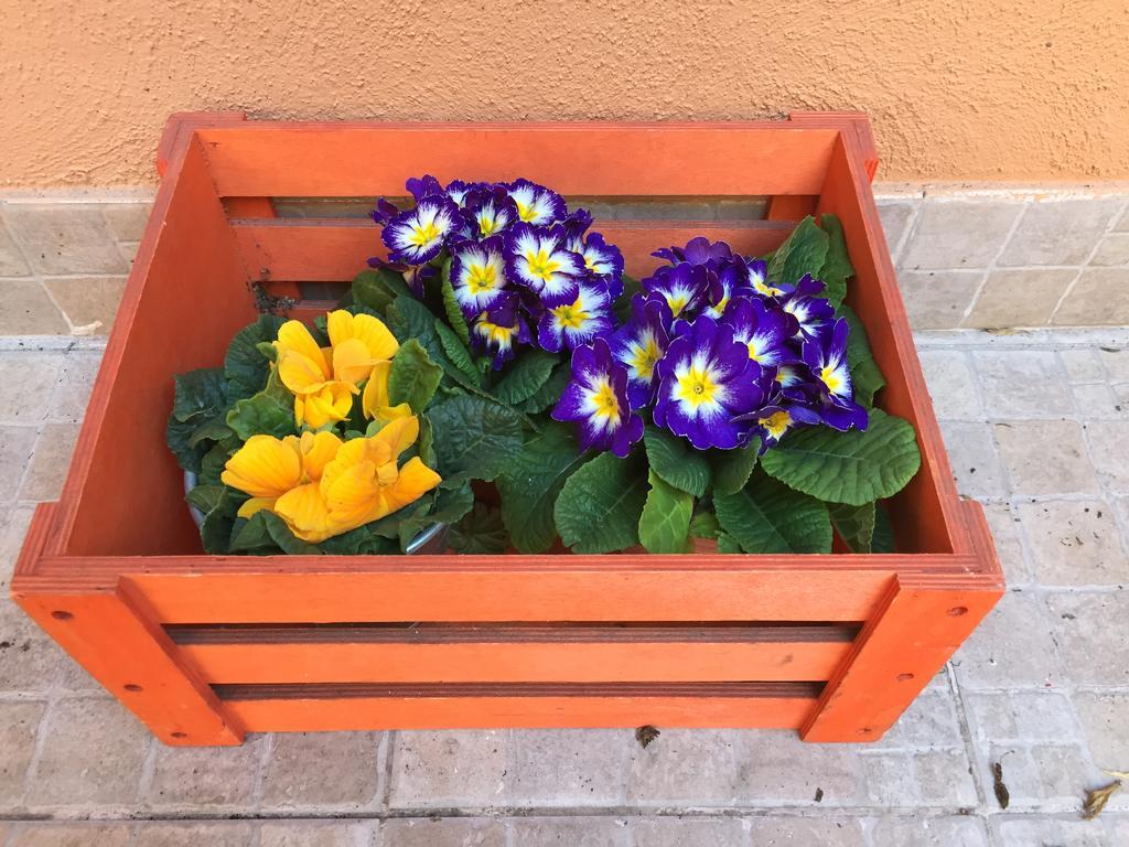 Appartamento Casa Sveja *