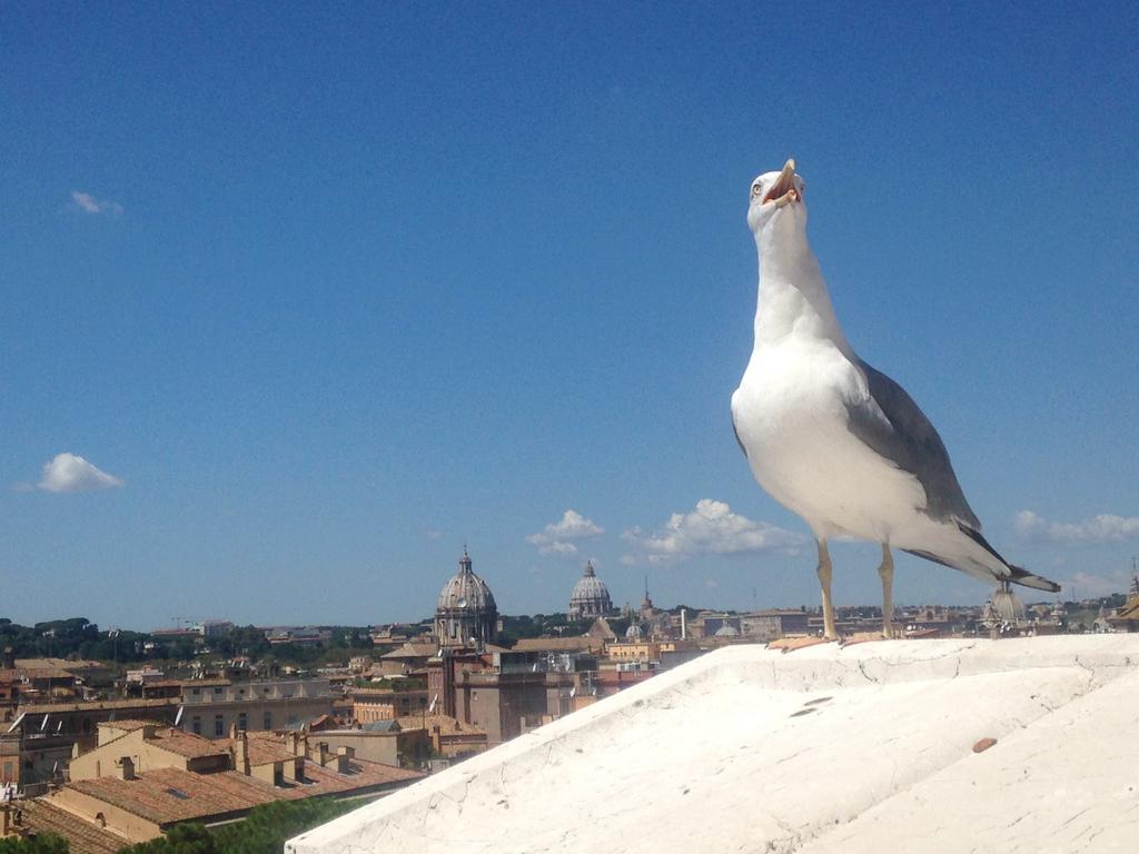Inn Rome B&B * Rom