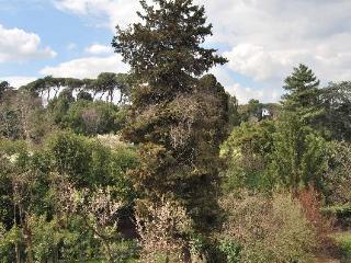 Magnolia Relais Roma