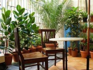 Acomodação com café da manhã  Matisse Royal