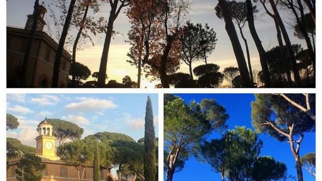 Panama Garden Roma
