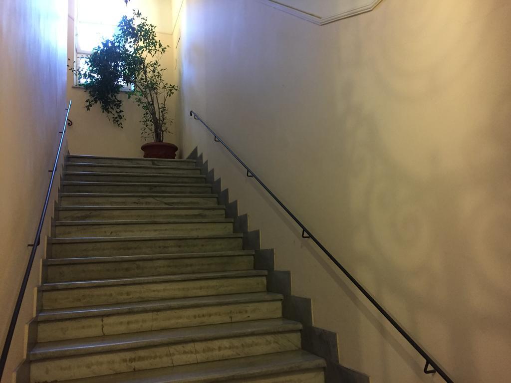 Domus Capilupi