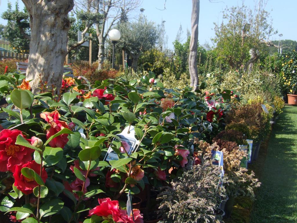 Bed and breakfast Residenza I Ciclamini