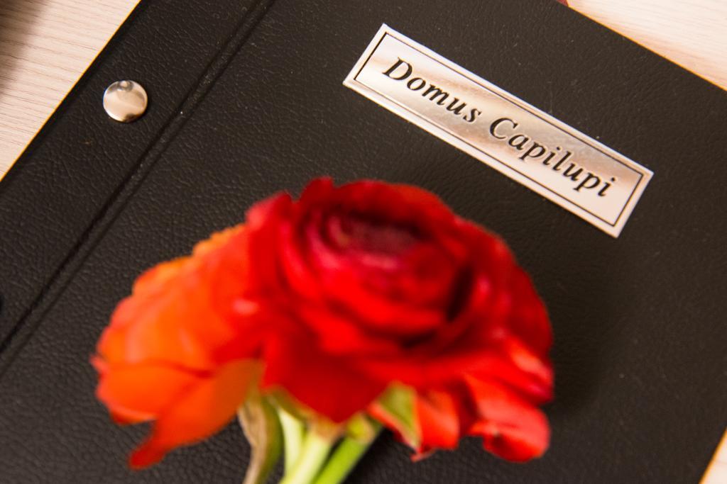 Bed and breakfast Domus Capilupi Roma