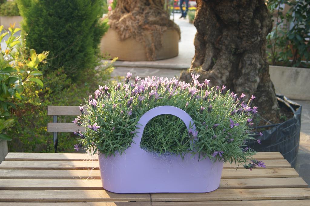 Bed and breakfast Residenza I Ciclamini 2*