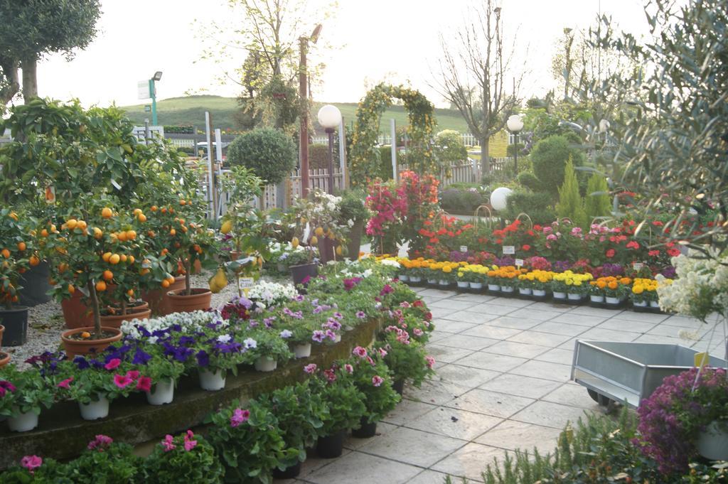 Bed and breakfast Residenza I Ciclamini 2*