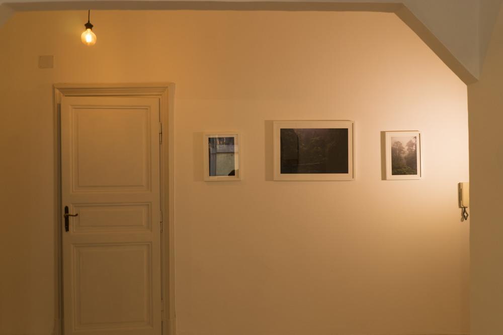 Trastevere Corner Eight Gjestgiverier