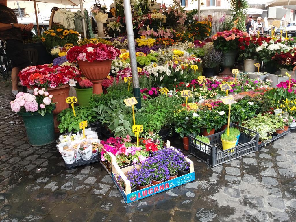 Campofiori Roma