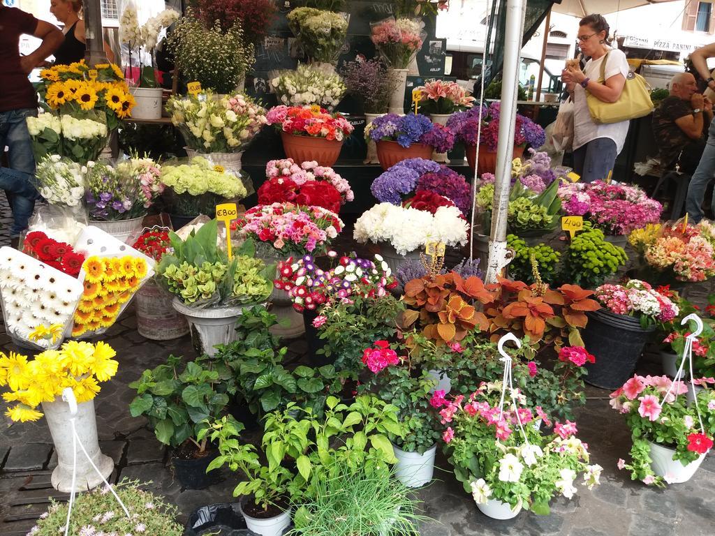 Campofiori Apartamento