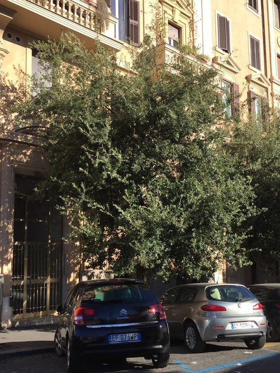 Leilighet Vatican *