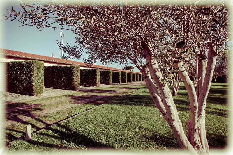 Ways Garden & Leisure Hotell 4*