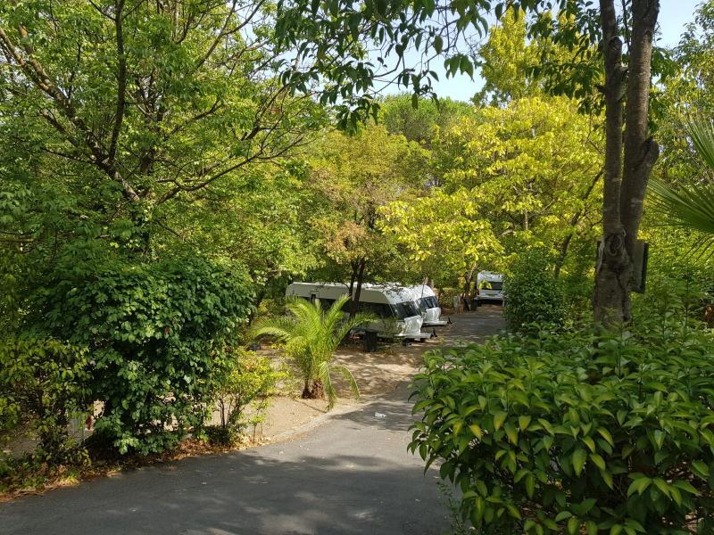 Seven Hills Village Rom