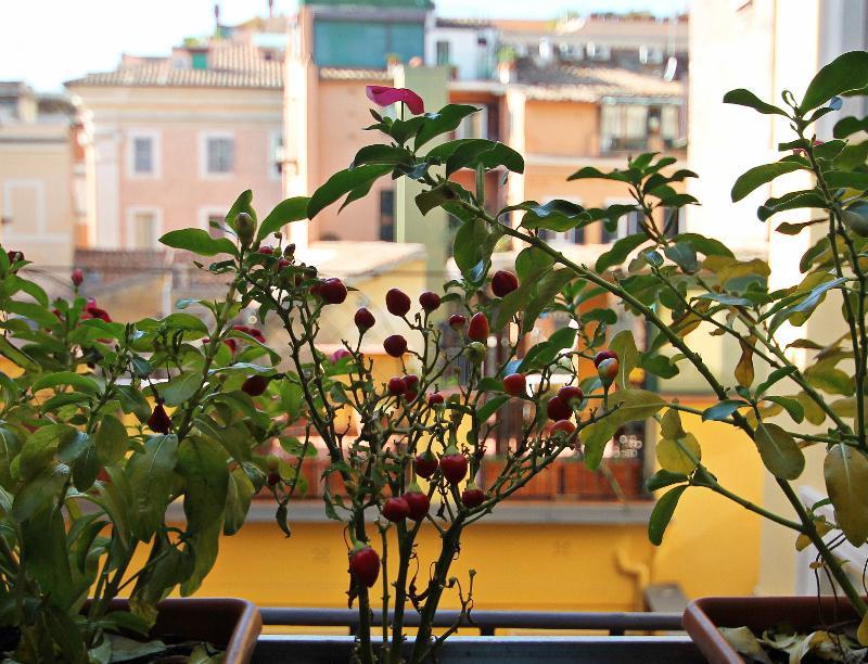 Bed & Breakfast Irooms Pantheon Roma