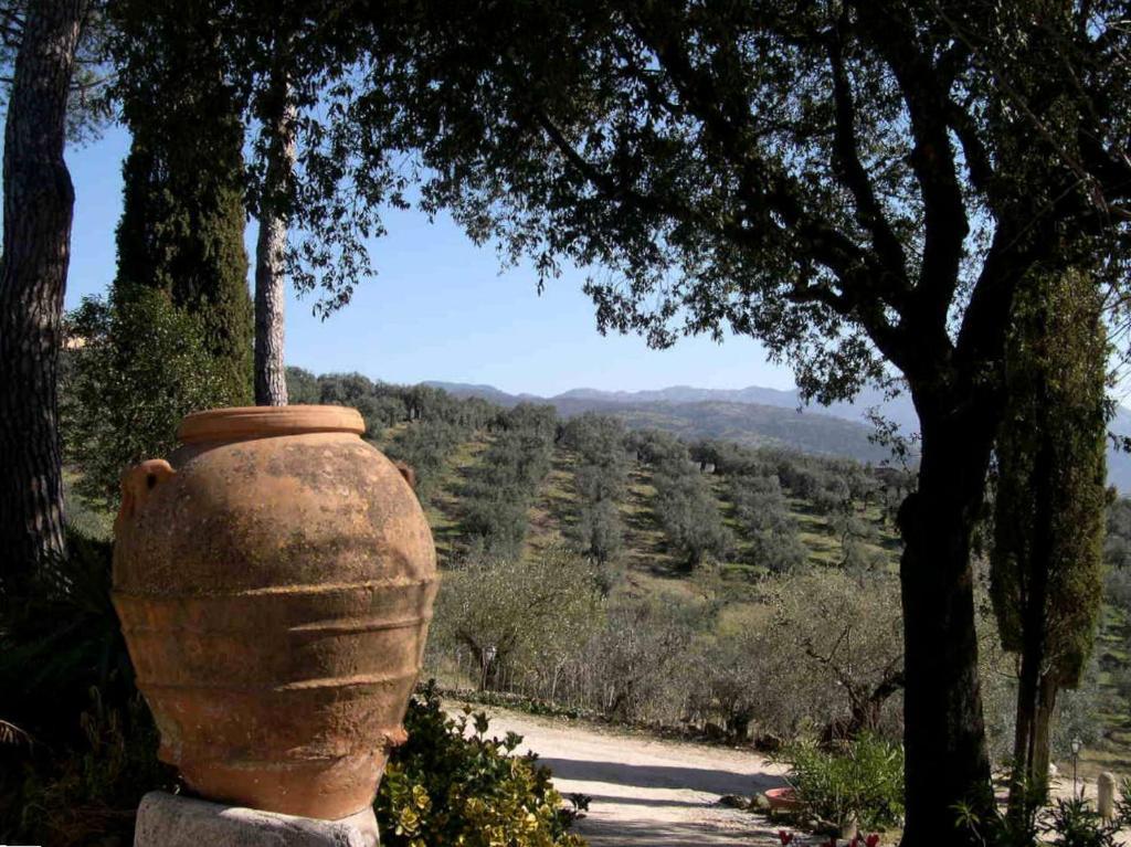 Tenuta Colfiorito *