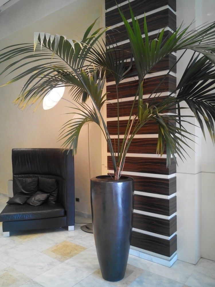 Hotel Papillo Hotels&resorts Roma