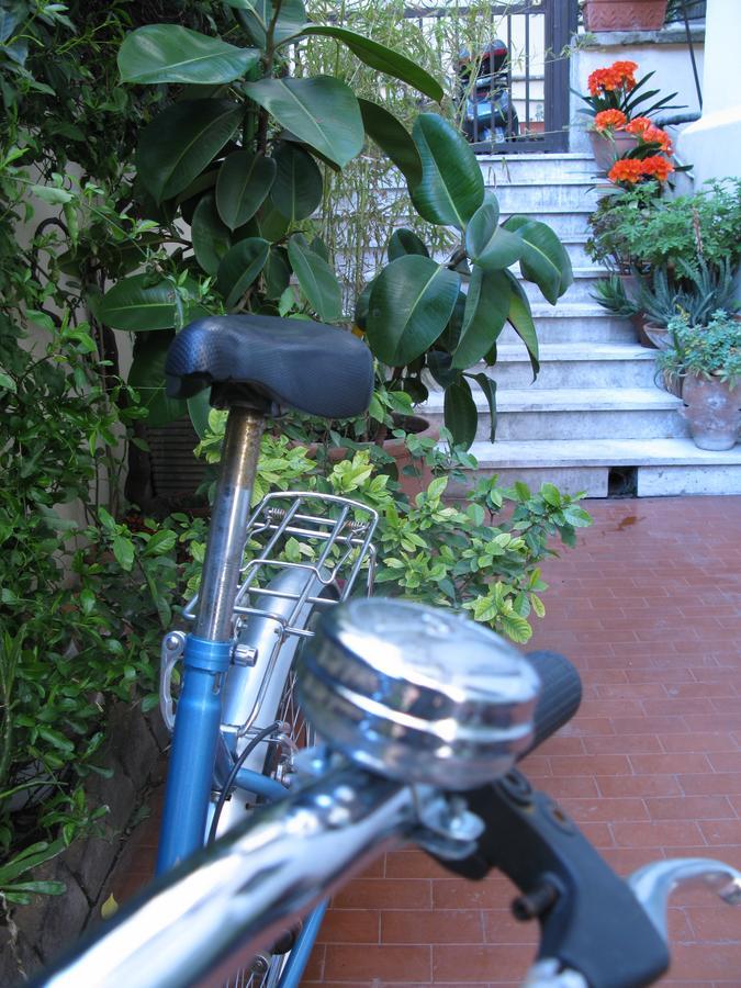 Le Finestre Di Luz Guest house