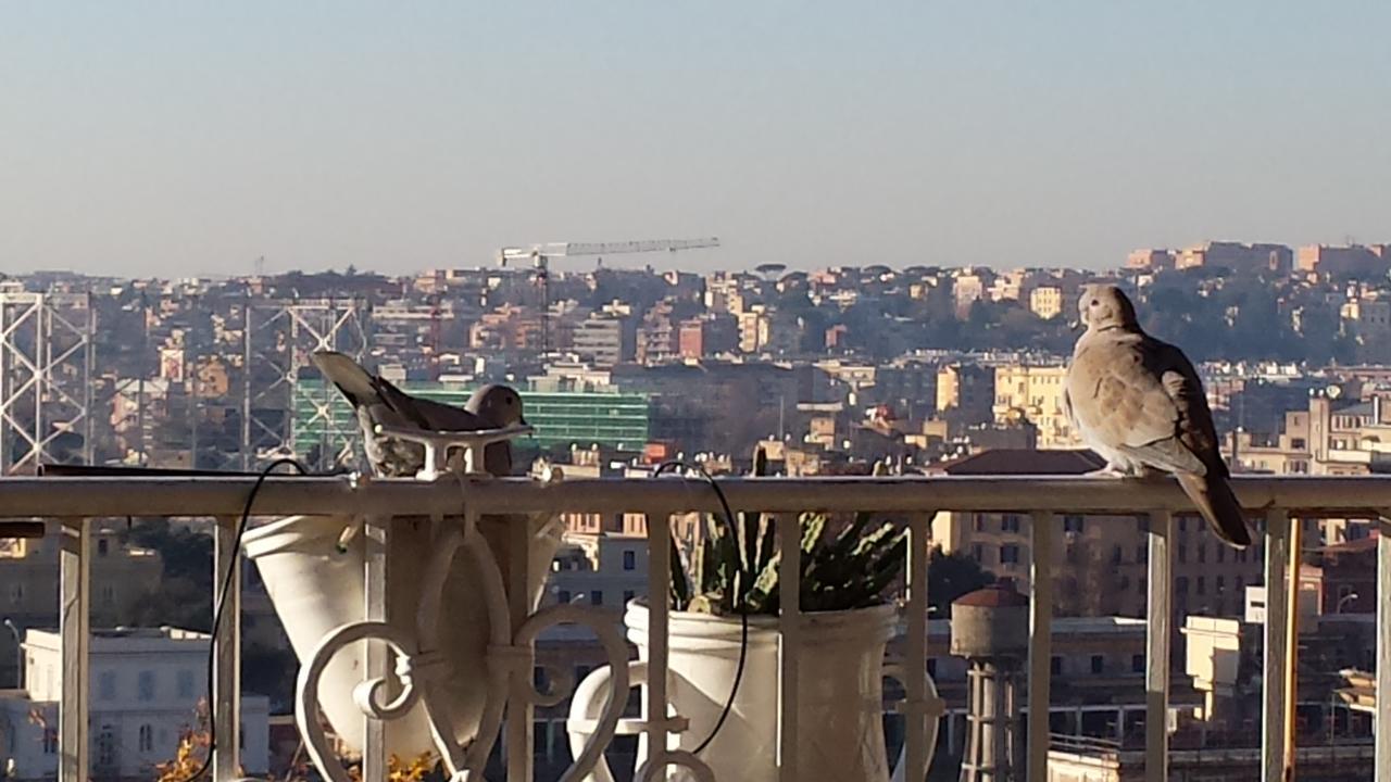 Affittacamere Trastevere 2 2*
