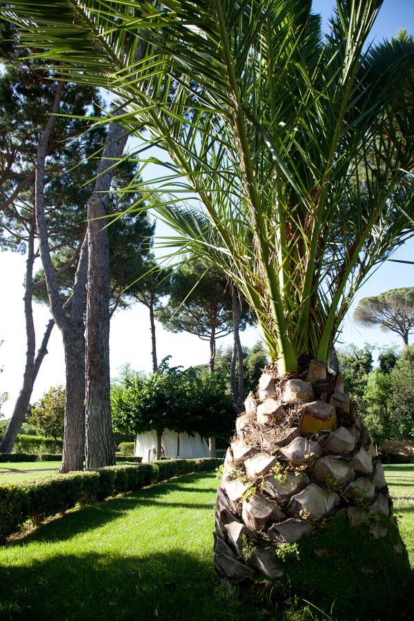 Villa Nocetta