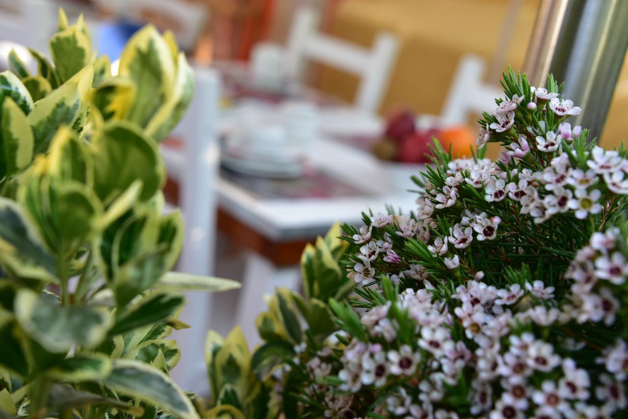 Bed & Breakfast Quodlibet 2*