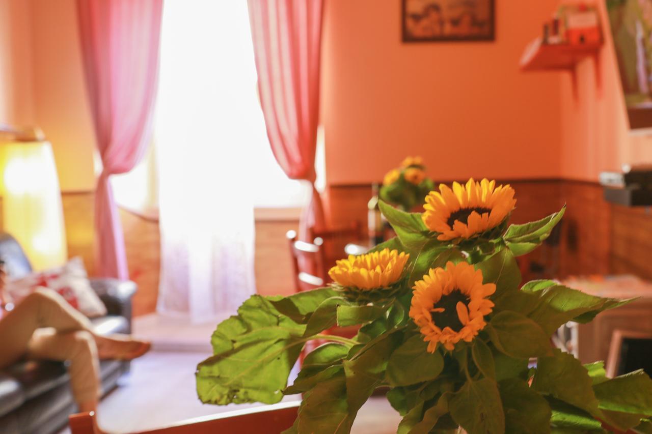 Albergue Holidays