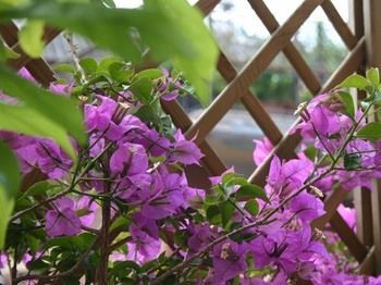 Le Fate Bed & Breakfast Roma