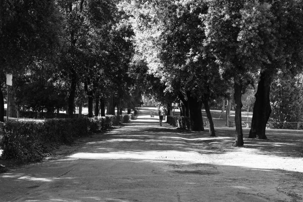 Priscilla Hotell Roma