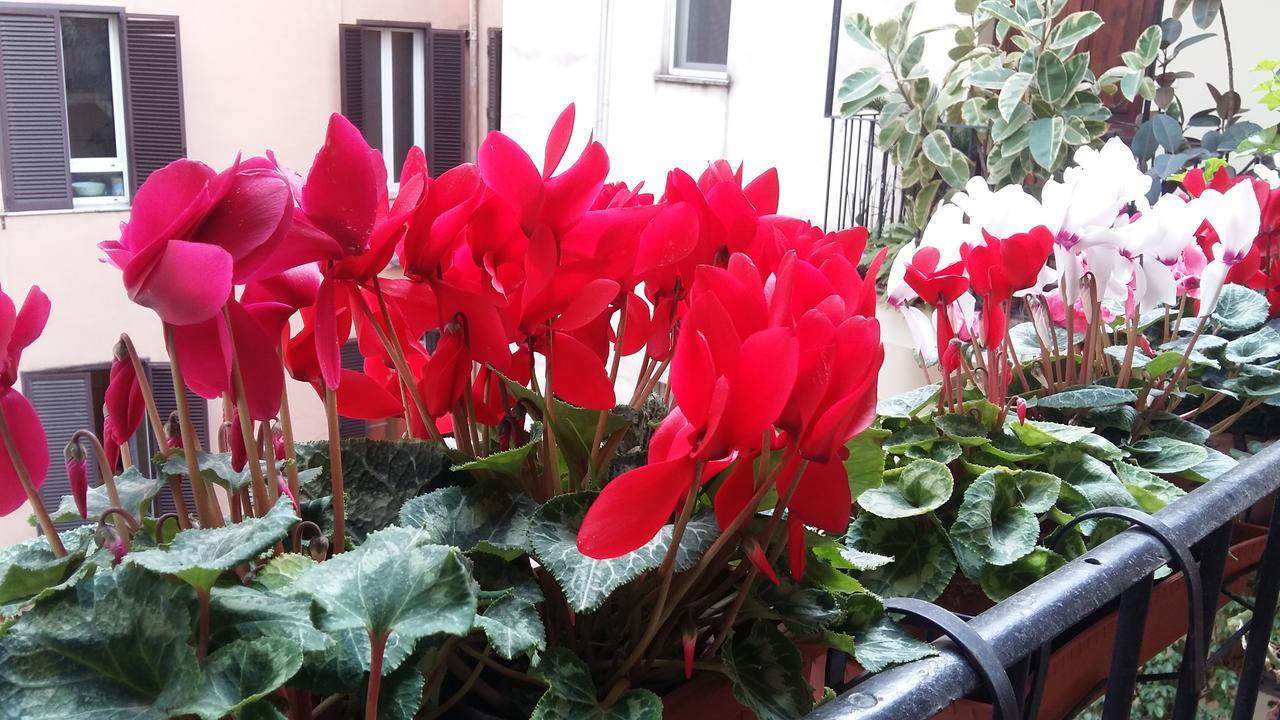 Leilighet Lilium House Aventino