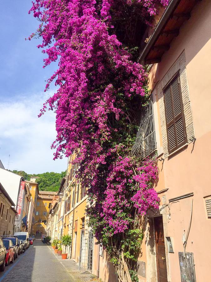 Apartment Good Morning Trastevere Rome