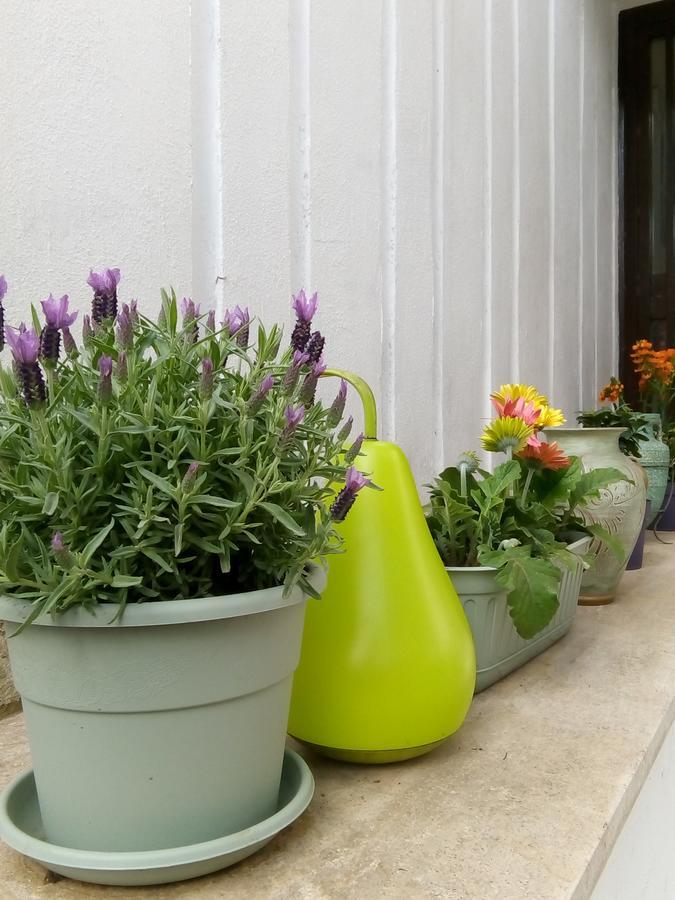 Bed and breakfast Aquarius Roma