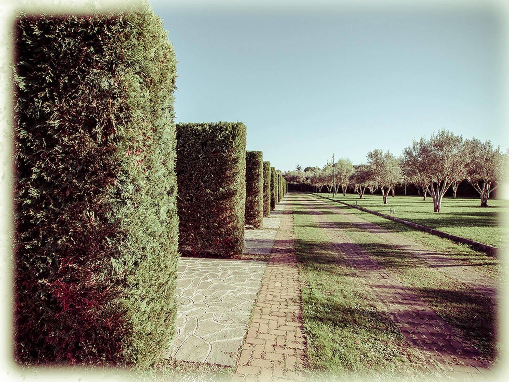 Ways Garden & Leisure