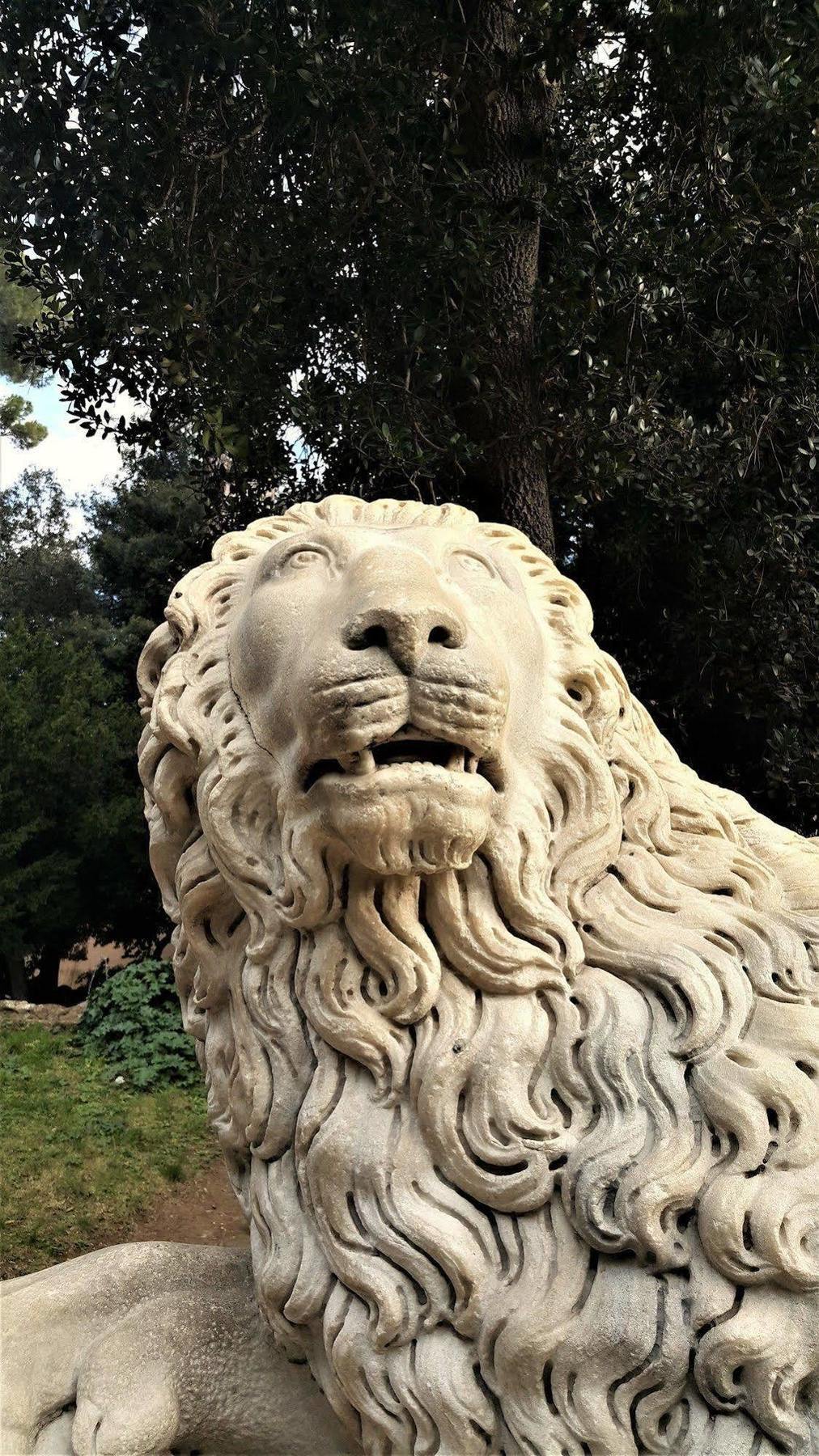 Domus Bocca Di Leone