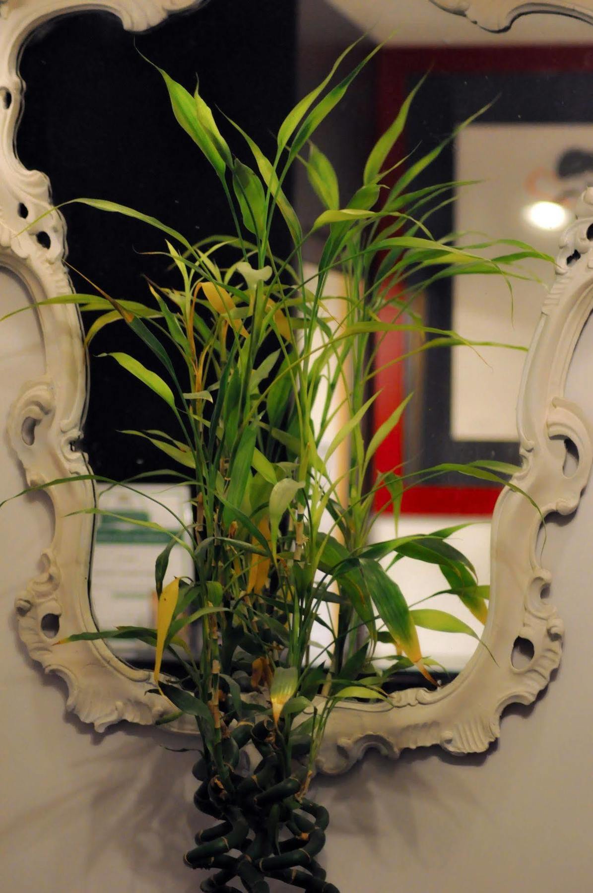 Relais Palazzo Taverna 3*