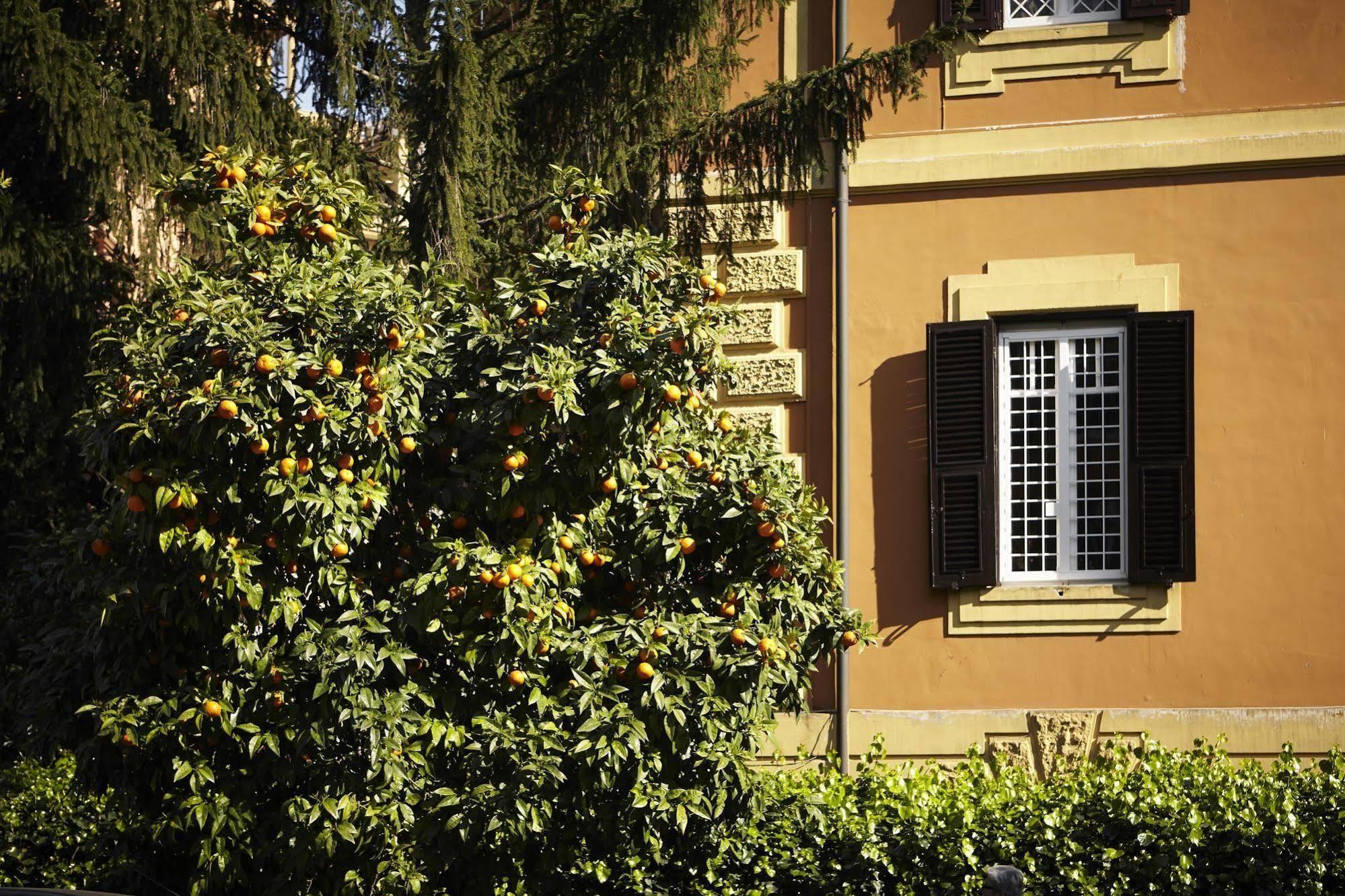 21 Aprile House Bed & Breakfast Roma