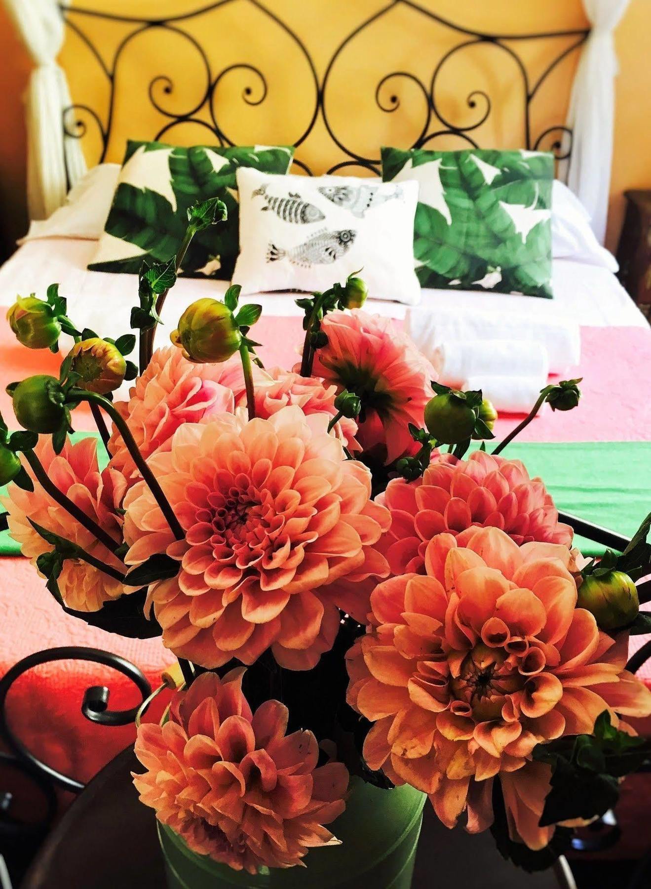 Holidays Guest house Rome
