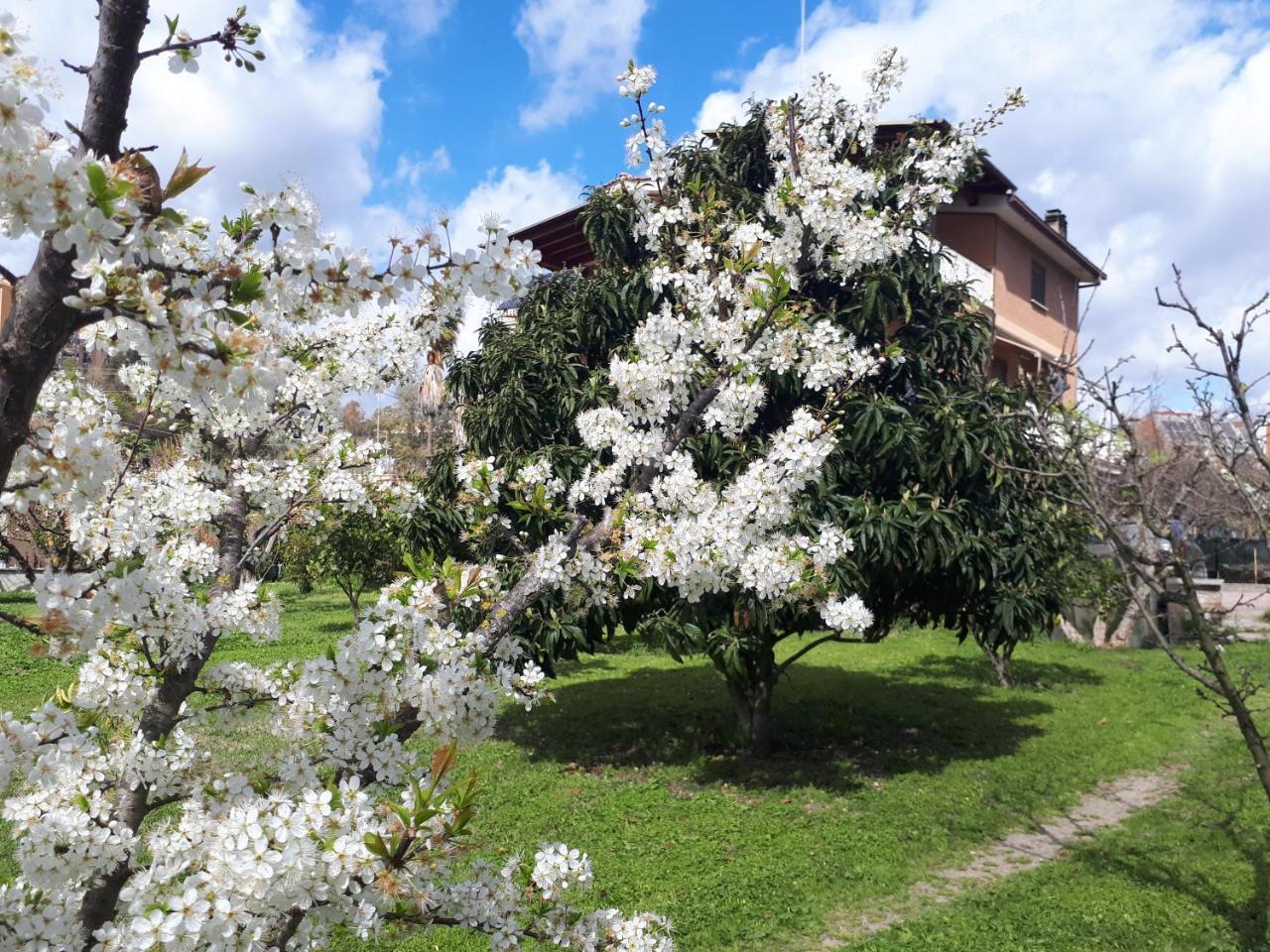 Alojamento de Acomodação e Pequeno-almoço Il Giardino Di Gabri Roma