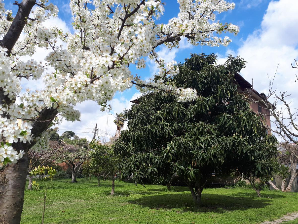 Il Giardino Di Gabri Roma