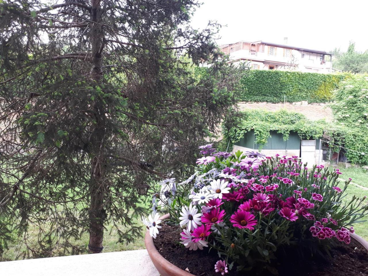 Bed and breakfast Papa Leone Countryrooms Roma