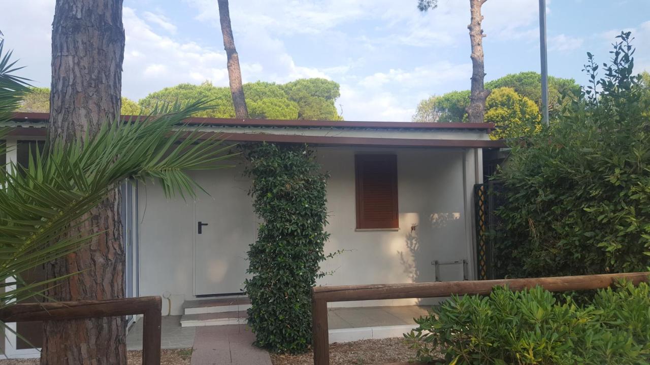 Aurelia Club Campeggio