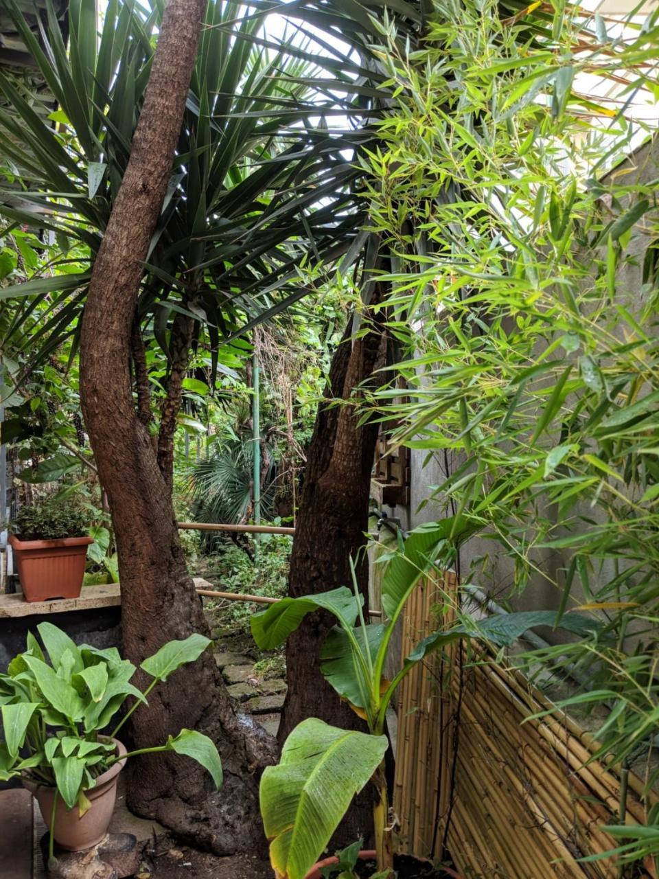 Palm Gallery Garden House 3*