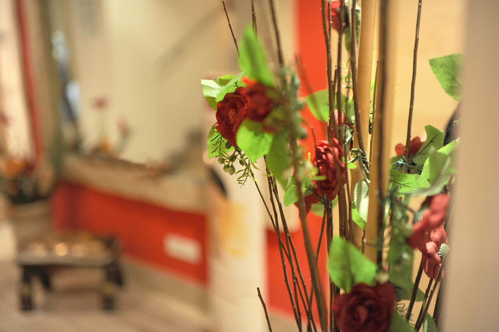 Relais San Pietro 3* Roma